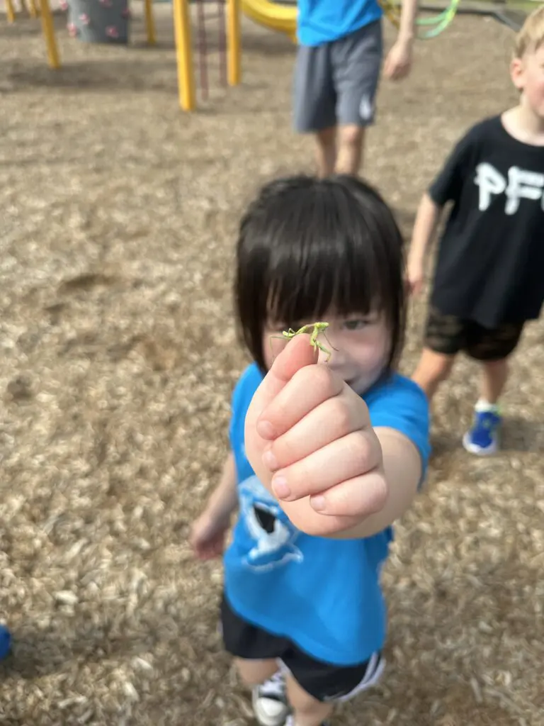 Summer Camp Near Me in Aubrey | Phat's Fight Club